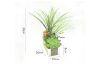 Picture of ARTIFICIAL PLANT 294 with Wooden Look Vase (20x35cm)