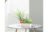 Picture of ARTIFICIAL PLANT 294 with Wooden Look Vase (20x35cm)