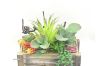 Picture of ARTIFICIAL PLANT 295 with Wooden Look Vase (23cm x 25cm)