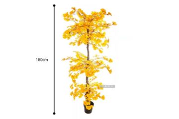 Picture of ARTIFICIAL PLANT Ginkgo Tree (180cm)