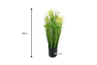 Picture of Onion Grass - 48cm