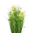 Picture of Onion Grass - 150cm