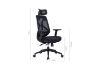 Picture of VALENCIA Ergonomic Office Chair (Black)