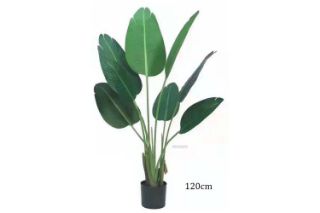 Picture of ARTIFICIAL PLANT Banana Leaf (Black Plastic Pot) - H120cm