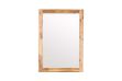Picture of SARA Mirror Only