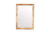 Picture of SARA Mirror Only