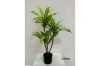 Picture of ARTIFICIAL PLANT BRAZILWOOD (Black Plastic Pot) - H180cm