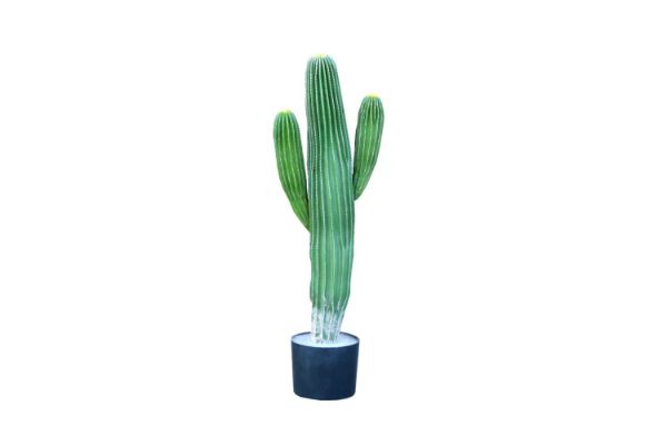 Picture of ARTIFICIAL PLANT Cactus with Black Pot (90cm Tall)