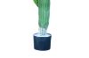 Picture of ARTIFICIAL PLANT Cactus with Black Pot (90cm Tall)