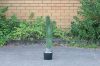 Picture of ARTIFICIAL PLANT Cactus with Black Pot (90cm Tall)