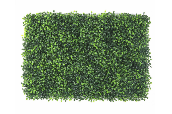 Picture of ARTIFICIAL PLANT Green Wall 3M² (Indoor/Outdoor Wall Decoration) - Boxwood