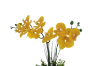 Picture of ARTIFICIAL PLANT Yellow Orchid with White Vase (H55cm)