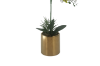 Picture of ARTIFICIAL PLANT White Orchid with Golden Vase (H55cm)