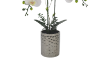 Picture of ARTIFICIAL PLANT White Orchid with White Vase (H43cm)