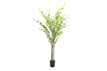 Picture of ARTIFICIAL PLANT Watercress Tree (H180)