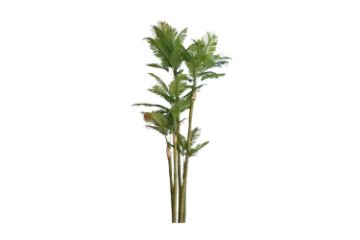 Picture of ARTIFICIAL PLANT PALM (H360cm) - Palm Only