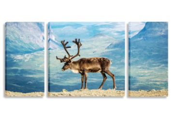 Picture of ELK AT JUTONHEIMEN NATIONAL PARK NORWAY - Frameless Canvas Print Wall Art (200x70cm) (3 Panels)