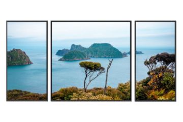 Picture of STEWART ISLAND NEW ZEALAND - Black Framed Canvas Print Wall Art (200cmx70cm) (3 Panels)