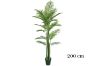 Picture of ARTIFICIAL PLANT Palm (Black Plastic Pot) - H90cm
