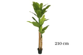 Picture of ARTIFICIAL PLANT Banana Tree Leaves - H210cm