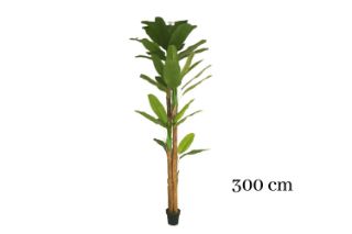 Picture of ARTIFICIAL PLANT Banana Tree Leaves - H300cm