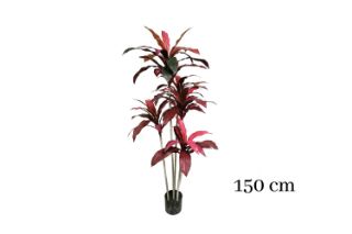 Picture of ARTIFICIAL PLANT CORDYLINE TERMINALIS  (H150cm)