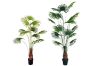 Picture of ARTIFICIAL PLANT Fan Palm Tree (180cm/210cm Tall)