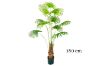 Picture of ARTIFICIAL PLANT Fan Palm Tree (180cm/210cm Tall)