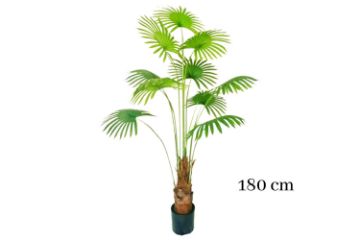 Picture of ARTIFICIAL PLANT Fan Palm Tree (H180cm)