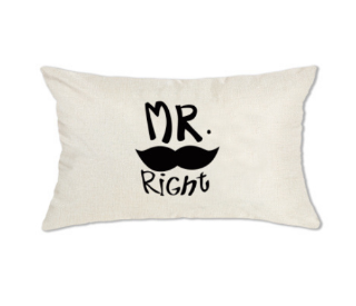 Picture of LUMBAR Throw Pillow Cushion with Inner Assorted (30x50cm) - Cushion 1587 (Mr. Right)