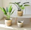 Picture of JUTE Rope Flowerpot/Plant Basket/Storage Basket - Small (16cmx16cm)