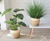 Picture of JUTE Rope Flowerpot/Plant Basket/Storage Basket - Small (16cmx16cm)