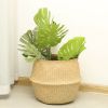 Picture of SEAGRASS Belly Basket/Floor Planter/Storage Belly Basket (Natural Colour) - Small