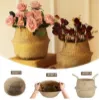 Picture of SEAGRASS Belly Basket/Floor Planter/Storage Belly Basket (Natural Colour) - Medium