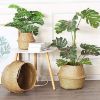 Picture of SEAGRASS Belly Basket/Floor Planter/Storage Belly Basket (Natural Colour) - Large