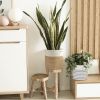 Picture of JUTE Rope Plant Basket/Storage Organiser (White & Natural)