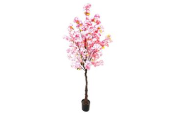 Picture of ARTIFICIAL PLANT Cherry Tree (180cm Tall)