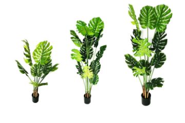 Picture of ARTIFICIAL Plant Monstera Delicosa - 90CM