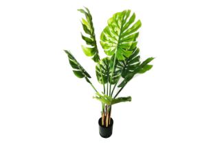 Picture of ARTIFICIAL Plant Monstera Delicosa - 90CM