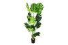 Picture of ARTIFICIAL PLANT Monstera Delicosa (90cm/140cm/180cm Tall)