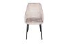 Picture of ASTRAL Dining Chair (Beige) - Single
