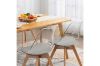 Picture of EFRON Dining Chair with Grey Cushion (Clear) - Each