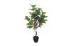 Picture of ARTIFICIAL PLANT Apple Tree with Black Plastic Pot (125cm Tall)