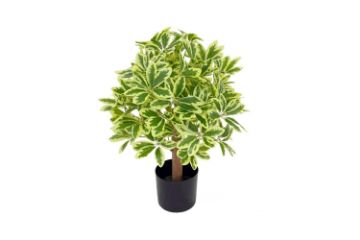 Picture of ARTIFICIAL PLANT 198 Leaves (60cm Tall)