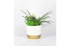 Picture of ARTIFICIAL PLANT 280 with Vase (14x36cm)