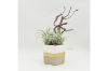 Picture of ARTIFICIAL PLANT 281 with Vase (20x28cm)