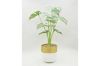 Picture of ARTIFICIAL PLANT 282 with Vase (14.5x50cm)