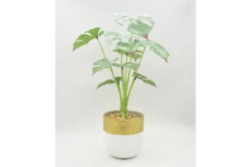 Picture of ARTIFICIAL PLANT 282 with Vase (14.5x50cm)