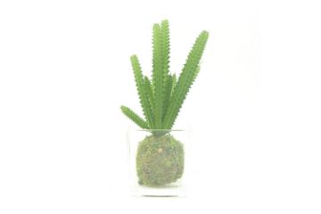 Picture of ARTIFICIAL PLANT 288 with Vase (6.5cm x 20cm)