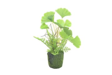 Picture of ARTIFICIAL PLANT 292 with Moss Vase (20cm x 28cm)